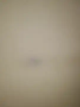 Snapshot of estefymariam88 chatting on October 20, 5:54 am estefymariam88 online show from October 20, 5:54 am