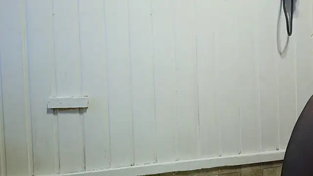 honey47 online show from October 24, 6:37 pm