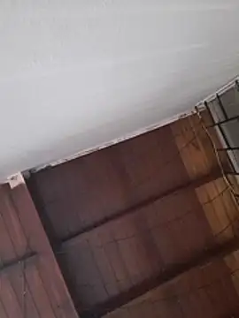 Lizbeth Rouse online show from December 17, 11:03 am