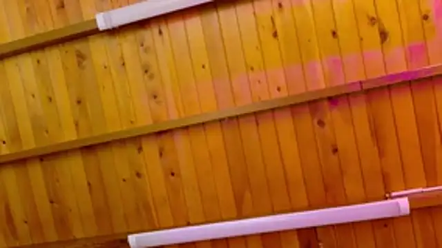 Lizbeth Rouse online show from January 12, 10:20 am