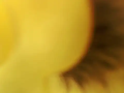 XXXJaneFoXXX online show from March 19, 5:39 pm