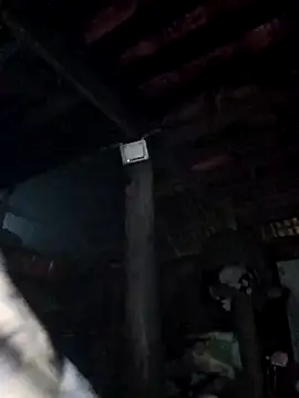 EllyBaby20 online show from January 15, 7:03 am