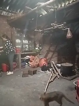 miumiu 00 online show from March 10, 5:00 am