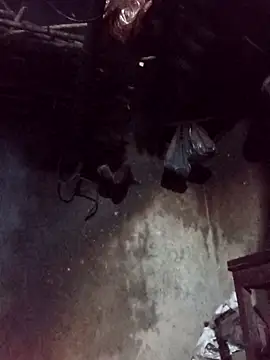  Helala  online show from November 2, 11:52 pm