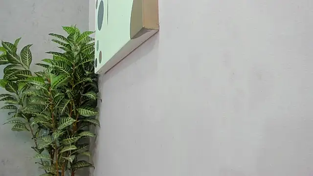 scarlett646 online show from December 2, 3:08 am