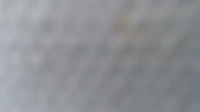 knodli online show from October 30, 11:44 am