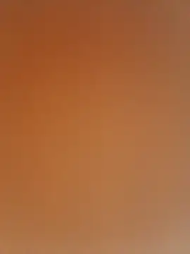 Appypie online show from December 20, 7:45 am