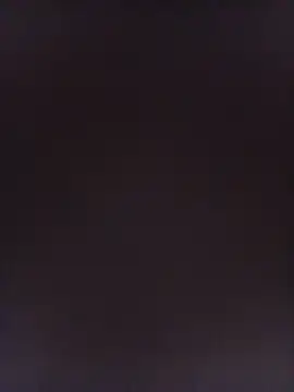 Sneha16 online show from October 8, 3:33 am