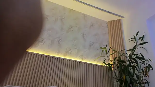 Liss-Reyes online show from February 4, 11:57 am