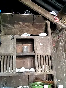 omiu-baby online show from April 9, 2:14 am