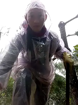 tcm-cute online show from November 2, 7:34 am