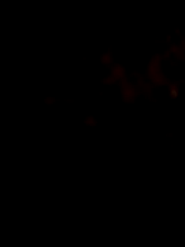 Payal950 online show from January 31, 9:35 pm