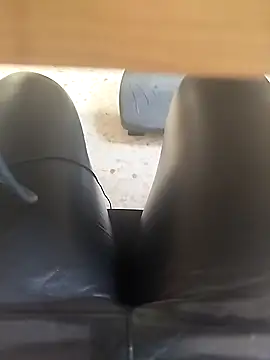 TaraWild online show from February 4, 1:36 pm