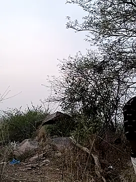 Nisha Sassmaxxx online show from April 26, 1:09 pm