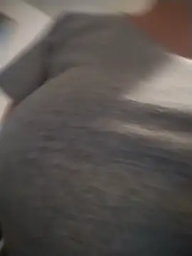 Shantey Laurent online show from April 14, 12:16 pm