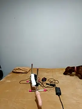 ZARAY 1118 online show from April 4, 11:25 pm