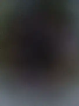 Jeya thakur online show from November 23, 7:32 am