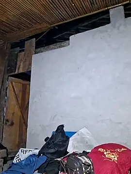 diamond-- online show from November 22, 12:19 pm