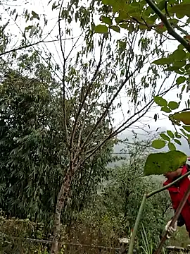 xuxulovezz online show from November 6, 8:31 am