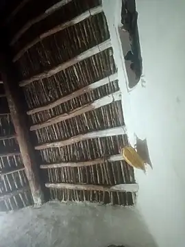 LOVE-VIKA online show from February 23, 3:44 pm