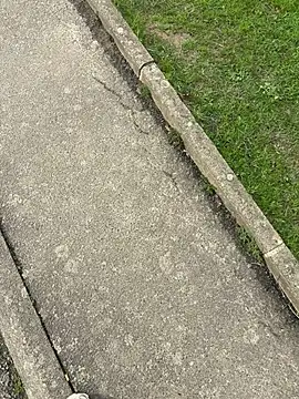 nanaisbackk online show from February 16, 2:39 pm