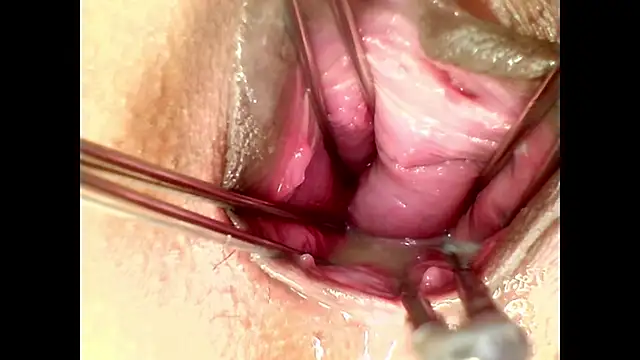 shannon kinne  online show from November 11, 4:37 pm