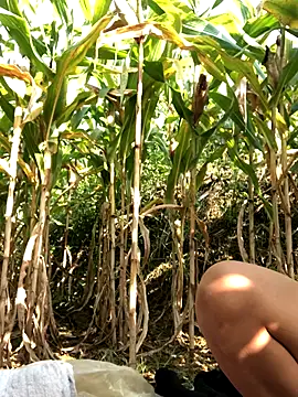 namicute online show from November 24, 7:32 am