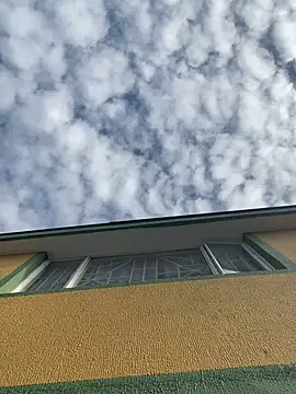 Zoe fire online show from October 24, 12:23 pm