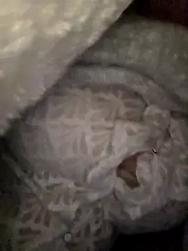 lasexycoquine59 online show from February 4, 11:08 pm