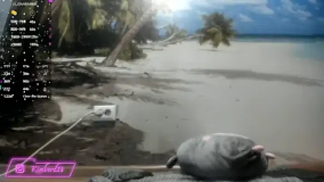 kimberd33 online show from February 26, 3:11 pm