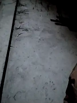 rickkis2k online show from December 13, 9:54 pm