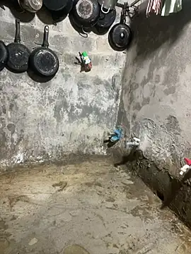 Irin jo online show from March 31, 10:59 am