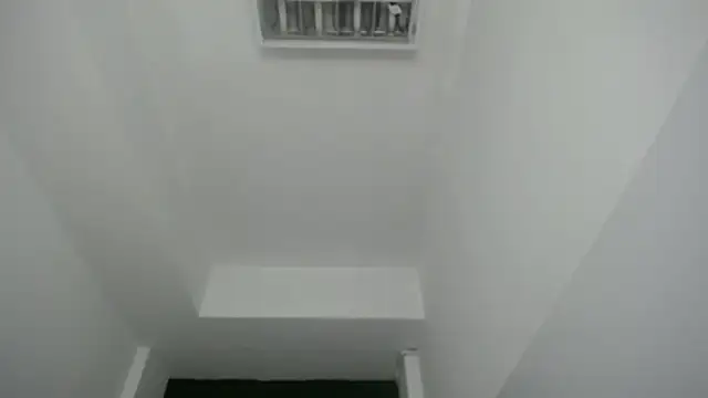 velvetvixen t online show from December 21, 12:42 pm