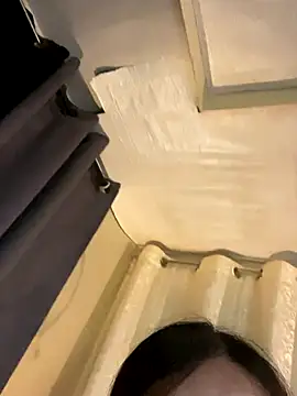 Wildasian69couplexxx online show from November 29, 3:32 am