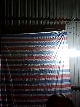 bella-la online show from October 28, 12:00 pm