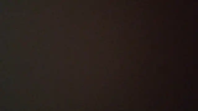 Hairy ptt online show from April 14, 2:11 am