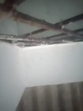 Pallu Asha online show from March 19, 12:59 am