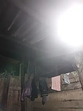 Qoine392 online show from January 13, 10:36 pm