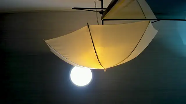 EvaLuxxe online show from November 30, 8:46 pm