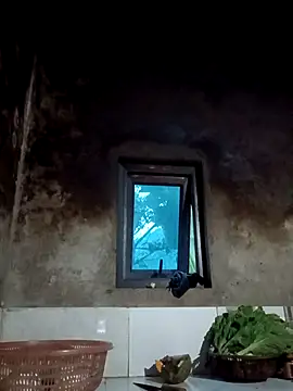 blonde blg online show from February 22, 11:00 am