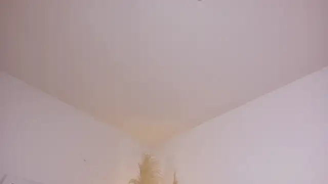 am berr online show from December 13, 7:53 pm