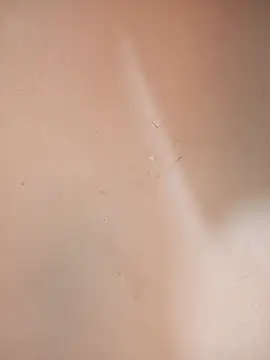 AngelaAbi online show from July 11, 7:52 am