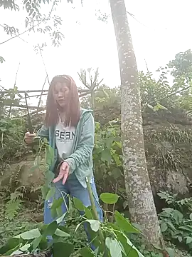 nangmo online show from March 28, 8:36 am