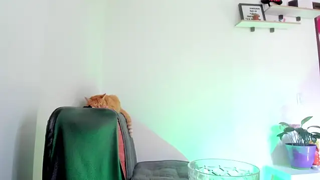 MaddieHunter online show from February 11, 2:29 pm