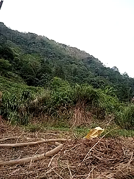 sary-hot2x online show from April 7, 10:28 am