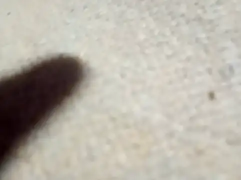 LolilolsAdj online show from March 3, 7:25 am