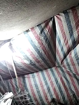 Lucky cutee online show from March 5, 1:29 pm