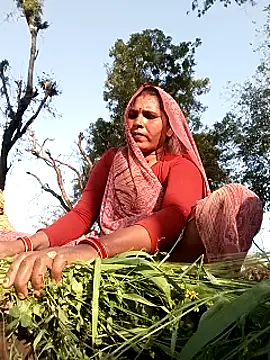 Rakhi cut online show from February 17, 10:47 am