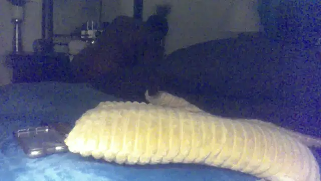 Babyboo3620 online show from February 16, 2:44 am