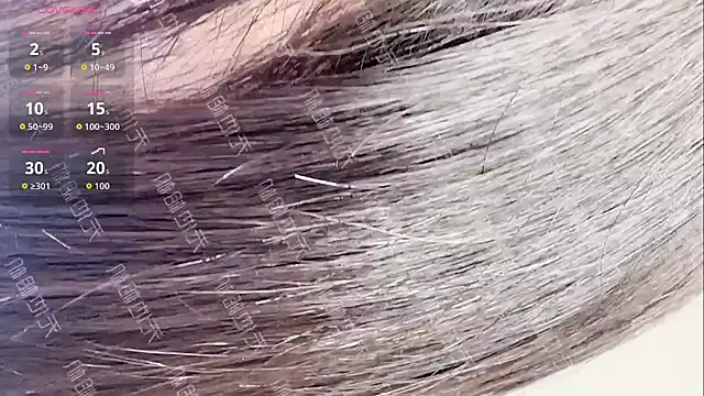 MeiMei-JiaJia online show from January 6, 6:50 am